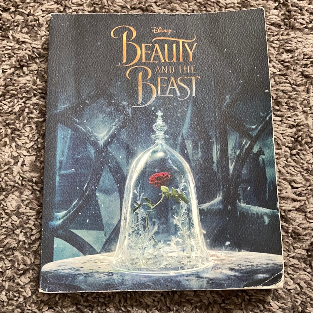 Book-beauty and the beast